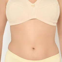 Da Intimo Women Plus Size Beige Cotton Everyday Bra - Full Coverage image 3
