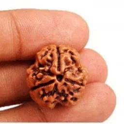 beautum 3 MUKHI INDONESIAN ORIGINAL RURAKSHA WITH METAL CAPPING FOR MEN AND WOMEN Wood Pendant image 2