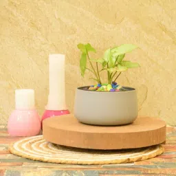 sone key chidiya Preston Iron Grey Desk Pot-picture-23