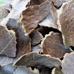 Mustard Cake for plants Fertilizer, Potting Mixture-image-39