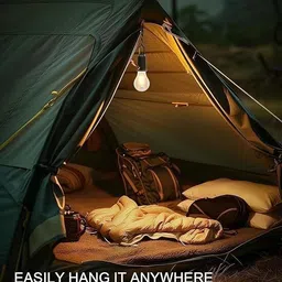 mz T01 (CAMPING LED LAMP) 3 Light Modes, Retro Design with Type C USB Charging 5 hrs Bulb Emergency Light image 5