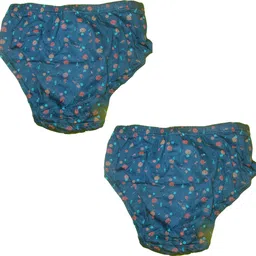 zingow Pack of 2 Women Hipster Blue Panty image 3