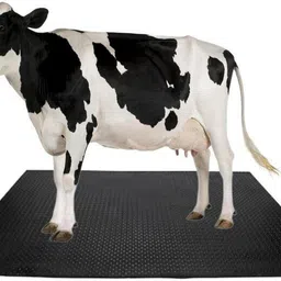 COW MAT-Waterproof Rubber (Mat 8*5 Feet) BPA Free For Horse | Cow, Dog, Hamster, Guinea Pig, Miniature Pig Pet Mat-image-38