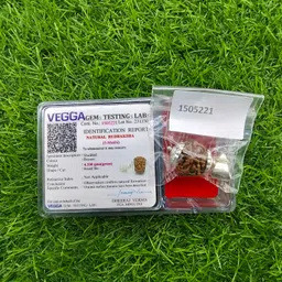 vegga 100% Original Lab Certified 5 Face/Mukhi Nepali Rudraksha Pendant/Locket Wood Locket image 3