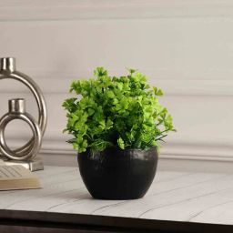 Multicolour Polyester and Plastic Artificial Plants By Foliyaj-picture-36