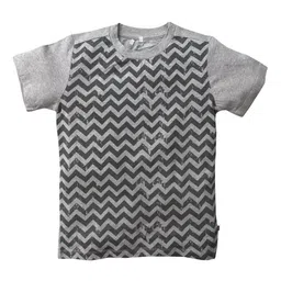 Nino Bambino Boys Grey Printed Round Neck Organic Cotton T-shirt-picture-17