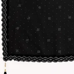 Leelavati Embellished Beads and Stones Pure Chiffon Saree image 2