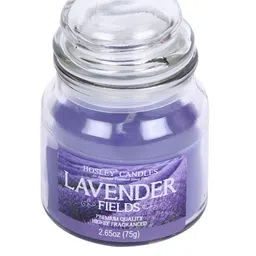 HOSLEY Set of 3 Purple Lavender Fields Fragrance Jar Candles image 4