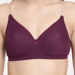 Floret Pack Of 2 Solid Non-Wired Lightly Padded T-shirt Bra F20560 image 3