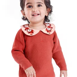Babyoye Eco Conscious Cotton Full Sleeves Sweater With Floral Embroidery - Orange-image-80