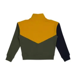 Pepe Jeans Kids Green & Yellow Cotton Color Block Full Sleeves Sweatshirt image 2