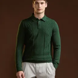The Bear House Green Cotton Regular Textured Polo T-Shirt-picture-11