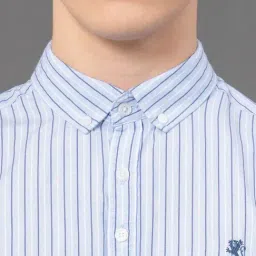 Red Tape Blue Regular Fit Striped Shirt image 5