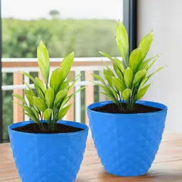 Kuber Industries 3-Pieces Blue Textured Planters image 5