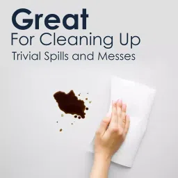 Feather's 400 x 400 mm 2 Ply White Luncheon Printed Napkin (Pack of 2) image 5