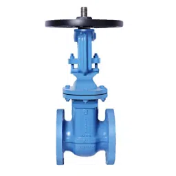 Leader 12 inch, 300 mm Ductile Iron Gate Valve, DI 058-picture-29