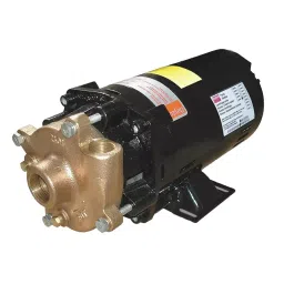 Dayton 50 ft Max Head 1 Hp Centrifugal Pump, 2ZWT1-picture-31