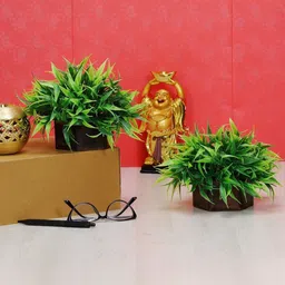 Dekorly Green Plastic Artificial Flowers & Plants With Pot-image-17