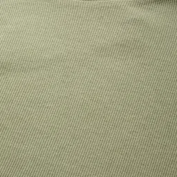 Roadster Green Ribbed Top image 2