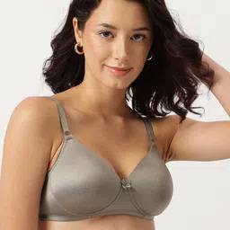 DressBerry Grey Full Coverage Lightly Padded Everyday Bra With All Day Comfort image 4