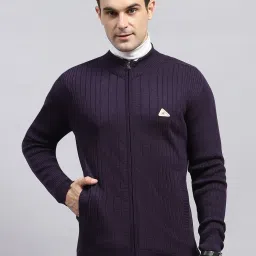 Monte Carlo Purple Regular Fit Texture Pullover image 1