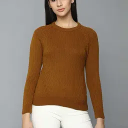 Allen Solly Brown Cotton Sweater-picture-34