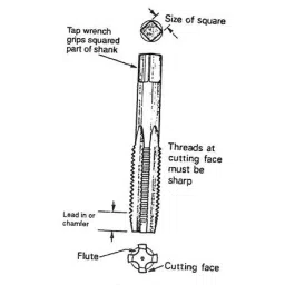 TOTEM 9 x 1.25 mm TiN Gold HSS Straight Fluted Tap image 2