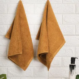 Spaces Hygro Solid Brown 600 GSM Cotton Hand Towel image 1