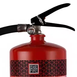 Prosafe ABC 1Kg Stored Pressured Map 50% Fire Extinguisher image 3