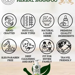 Puro Miles Hair Fall & Dandruff Control Shampoo With Bhringraj - 200 ml image 3