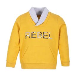 Plum Tree Kids Yellow & Grey Cotton Printed Full Sleeves Sweatshirt-picture-39