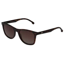 TOMMY HILFIGER Brown Wayfarer UV Protection Unisex Sunglasses image 1