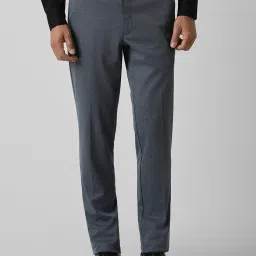Van Heusen Grey Regular Fit Texture Trousers image 1