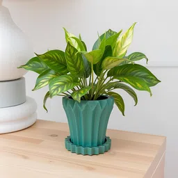 LASAKI Flory Green Ceramic Handmade Planter With Plate image 2