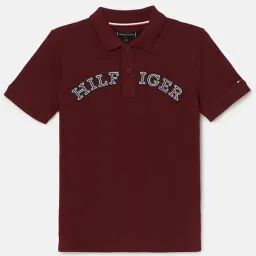 Tommy Hilfiger Boys Maroon Cotton Applique T-Shirt-image-48