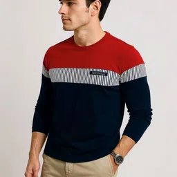 AUTNA Men Round Neck Colourblocked Long Sleeves T-shirt-picture-45
