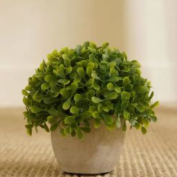 Pure Home and Living Green Plastic Potted Plants-picture-30
