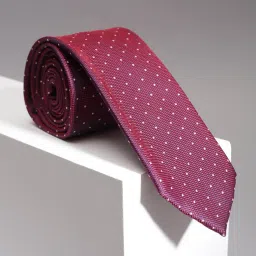 Allen Solly Maroon Polyester Embroidered Tie image 1