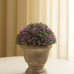 Pure Home and Living Purple Plastic Potted Plants-picture-32