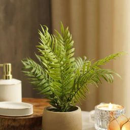 Pure Home and Living Green Plastic Potted Plants-picture-22