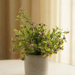 Pure Home and Living Green Plastic Potted Plants-picture-14