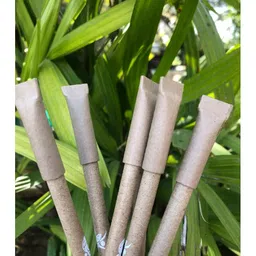 sow & grow Sow and Grow Plantable 4 Seed Pencils and 4 Seed Paper Pens in a Reusable Stationary Box - Pack of 8 image 2