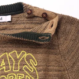 Wingsfield Full Sleeve Typography  Embroidered Pullover - Brown image 4