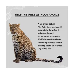 Colorbar Co-earth Rice Water Shampoo - 300 ml image 5