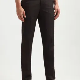 Arrow Brown Slim Fit Striped Trousers image 3