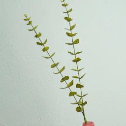 Pure Home and Living Green Plastic Green Stems-picture-28