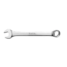 Tata Agrico 15 mm Chrome Finish Combination Spanner, SPC021 (Pack of 25)-image-90