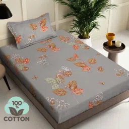 Klotthe Grey 400 TC Cotton Single Bedsheet with Pillow Cover image 1