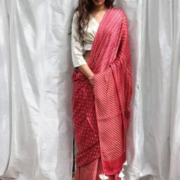 Chidiyaa Carrot Pink Aztec Kite Saree image 1