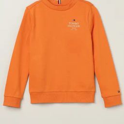 Tommy Hilfiger Boys Orange Cotton Embroidery Sweatshirt-picture-28